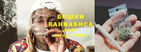 сатива Верхний Тагил